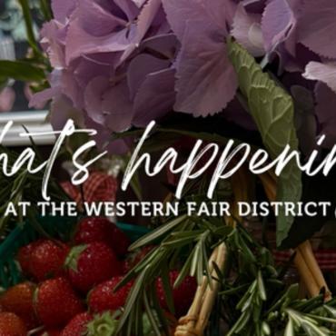What To Do In London At The District in July 2026