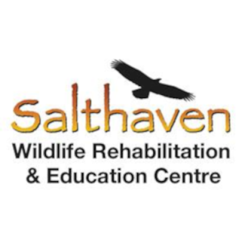 Salthaven