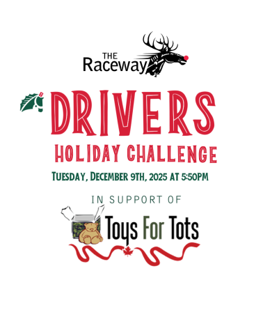 Drivers Holiday Challenge