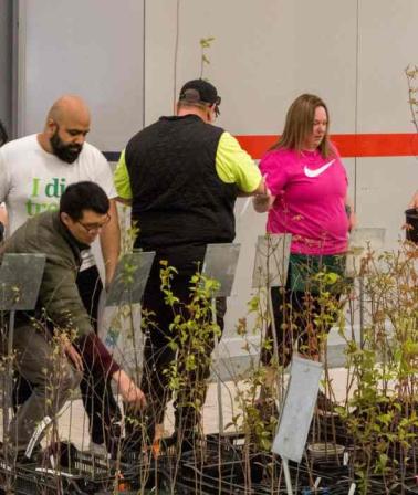 Tree Giveaway at Western Fair Market