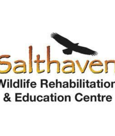 Salthaven Wildlife Education and Rescue