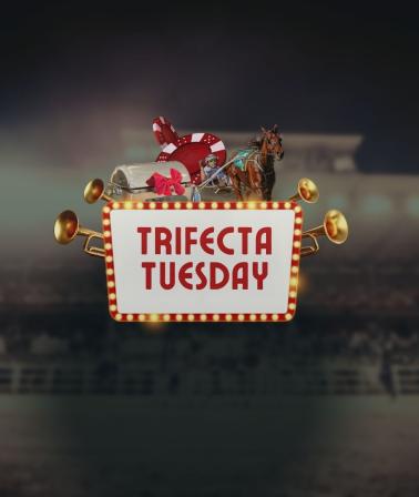 Trifecta Tuesday - Oct 13