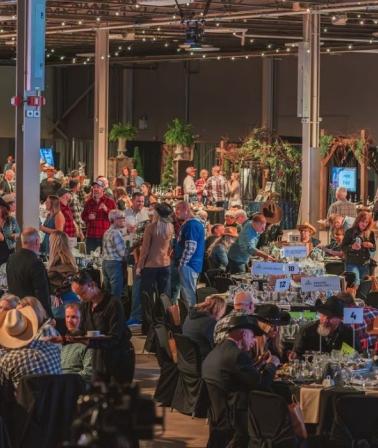 Country Classic Auction WFD
